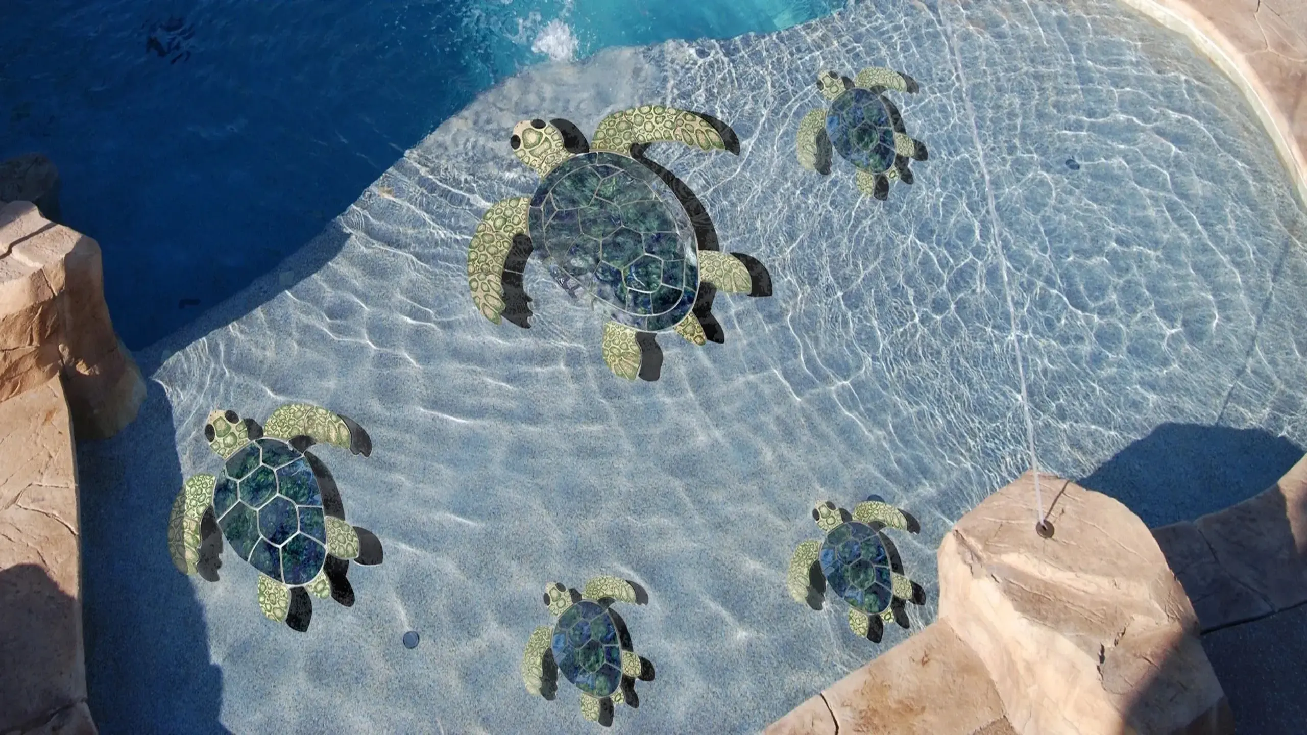 Turtle-Family-In-Pool-v3-cropped (1)